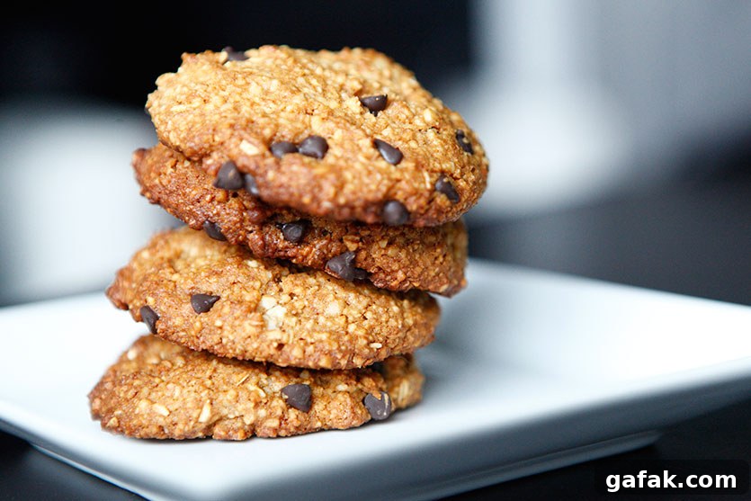 29 Paleo Breakfast Treats You Can Actually Eat for Breakfast 22 29 Paleo Treat Recipes- Chocolate Chip and Macadamia Nut Cookies