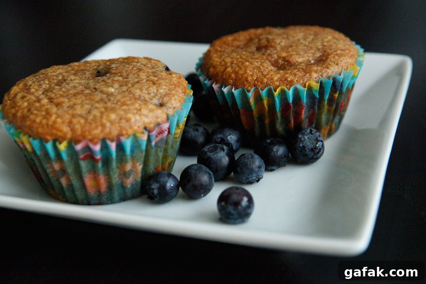 29 Paleo Breakfast Treats You Can Actually Eat for Breakfast 28 29 Paleo Treat Recipes- Blueberry Apple Muffins