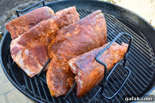 ribs on rib rack ready to be smoked 