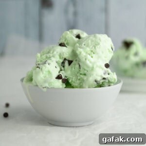 no churn mint chocolate chip ice cream in a white bowl