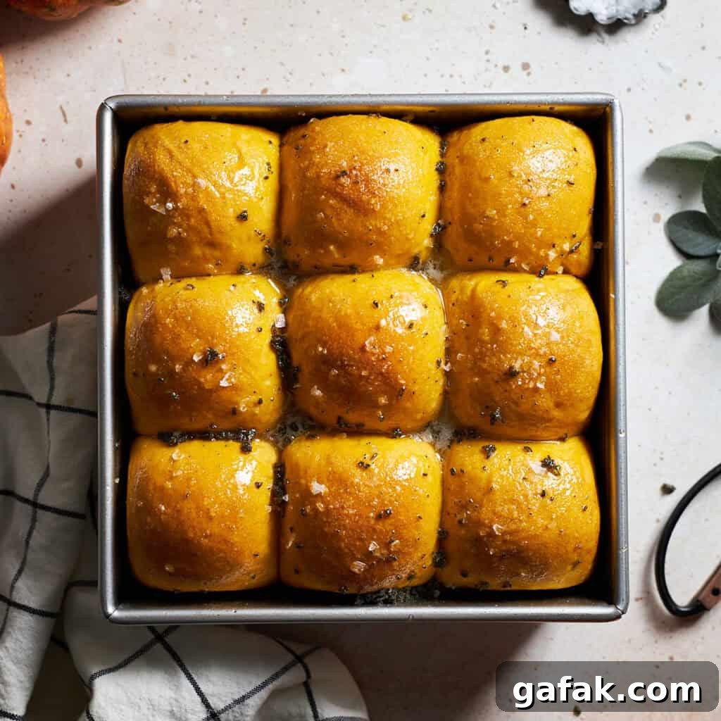 Sourdough Discard Pumpkin Dinner Rolls in a baking pan.