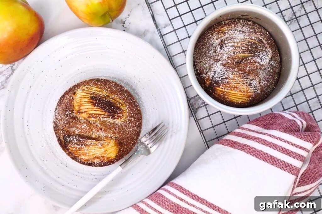 overhead view of air fryer apple cake on a plate with powdered sugar