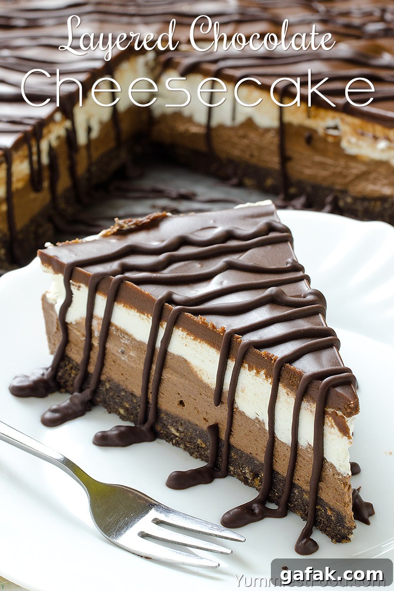 Layered Chocolate Cheesecake with Oreo Crust - No Bake