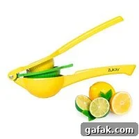 Citrus Juicer
