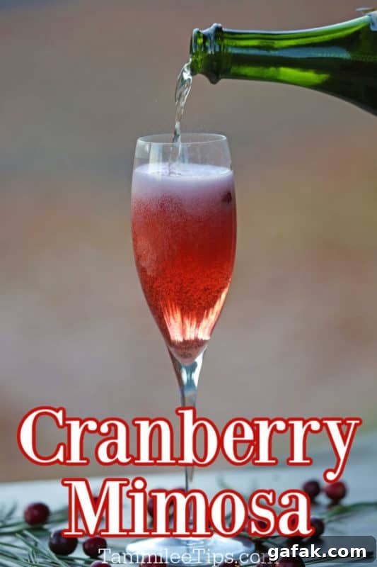 Cranberry Mimosa text written below a champagne flute with a cranberry mimosa and champagne pouring into it.