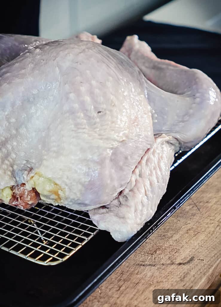How to Smoke a Turkey: Step-by-Step Guide for Juicy Results 8 turkey wing tucked under a whole turkey