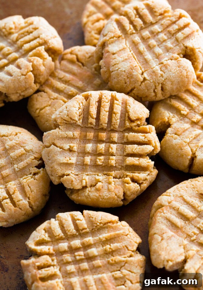 Perfect Keto Peanut Butter Cookies Egg Free Dairy Free
