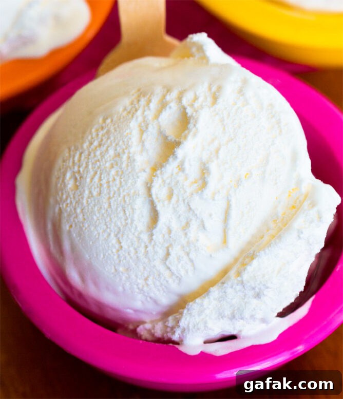 Vegan Frozen Yogurt Recipe