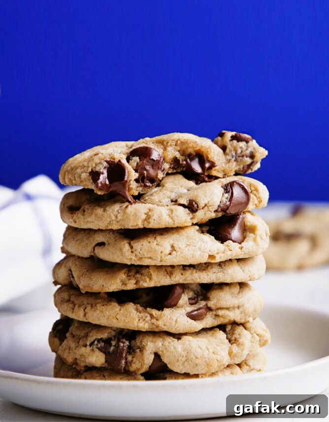 Healthy Oatmeal Chocolate Chip Cookies