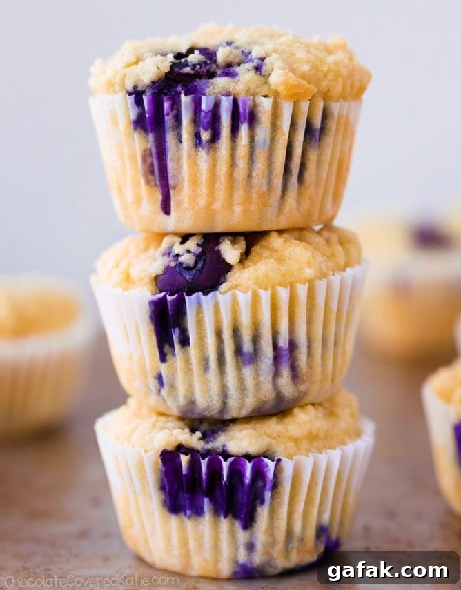 The Best Keto Low Carb Blueberry Muffins