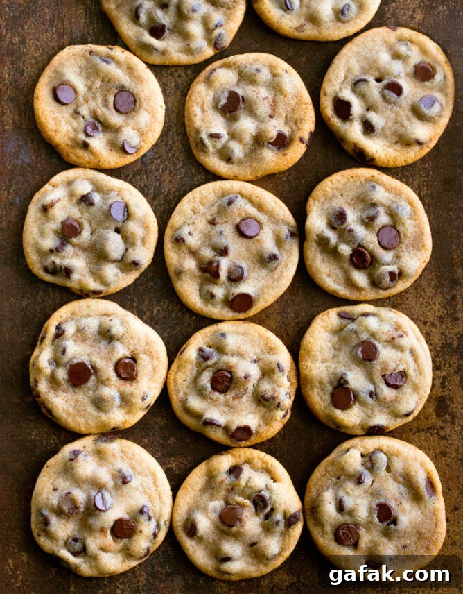 Vegan Chocolate Chip Cookies