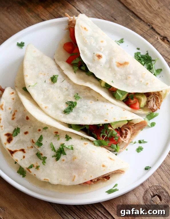 Overhead view of 3 carnitas on a white plate