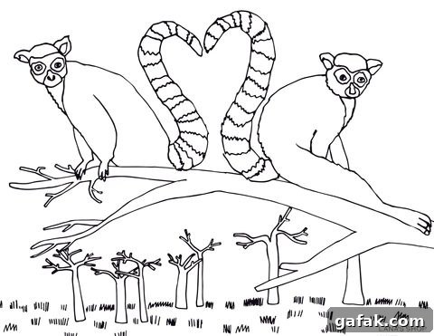 safari animal colouring pages