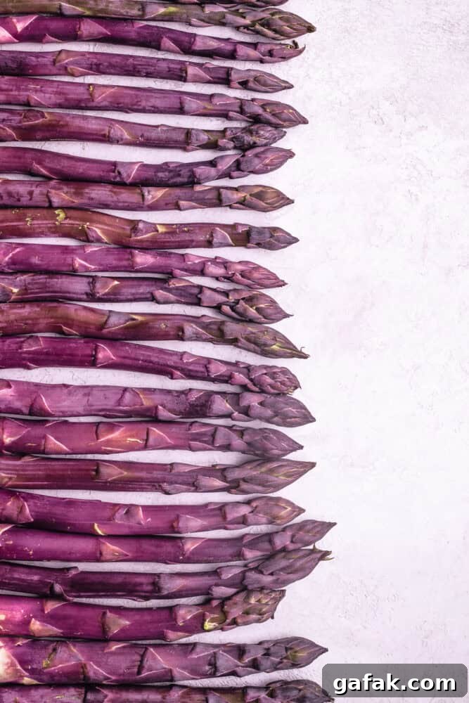 Purple Asparagus: Sweet, Anthocyanin-Rich Spears for Flavor & Nutrition 3 Purple asparagus spears laid flat in a tight horizontal row against a light background, tips pointing right.