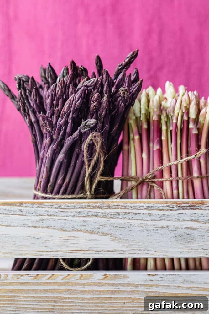 Purple Asparagus: Sweet, Anthocyanin-Rich Spears for Flavor & Nutrition 4 Bundles of purple and pink asparagus tied with twine, standing upright against a bright pink background in a white wooden box.
