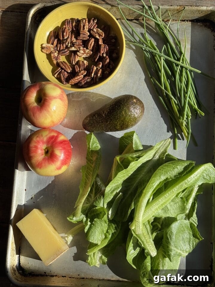 Apple Salad with Creamy Yogurt Dressing for Refreshing Flavor 3 a photo of the ingredients for apple salad on a baking sheet
