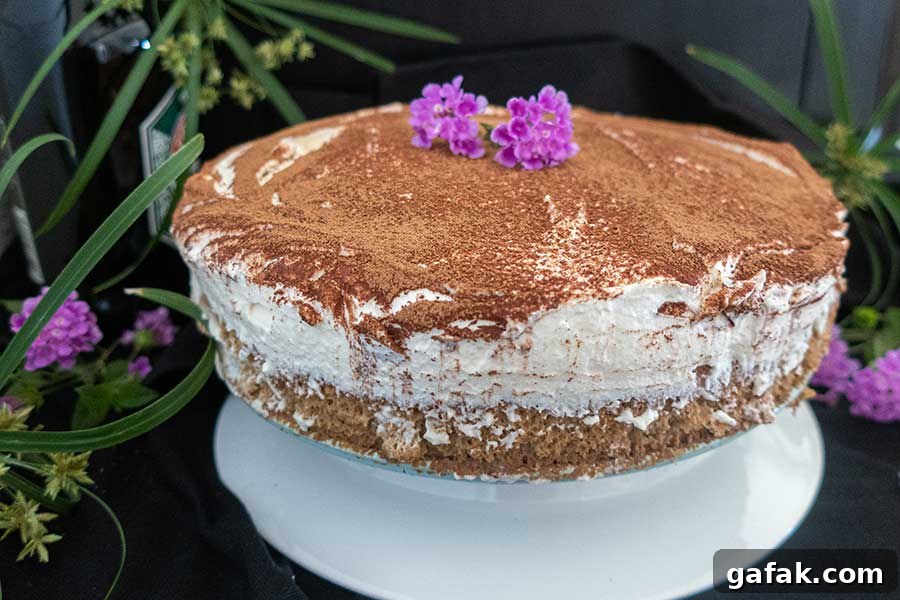 irish tiramisu cake dusted with cocoa on a cake platter