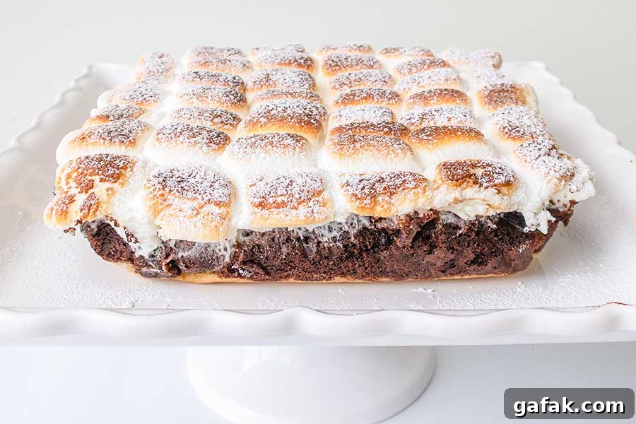 smore chocolate cake on a platter