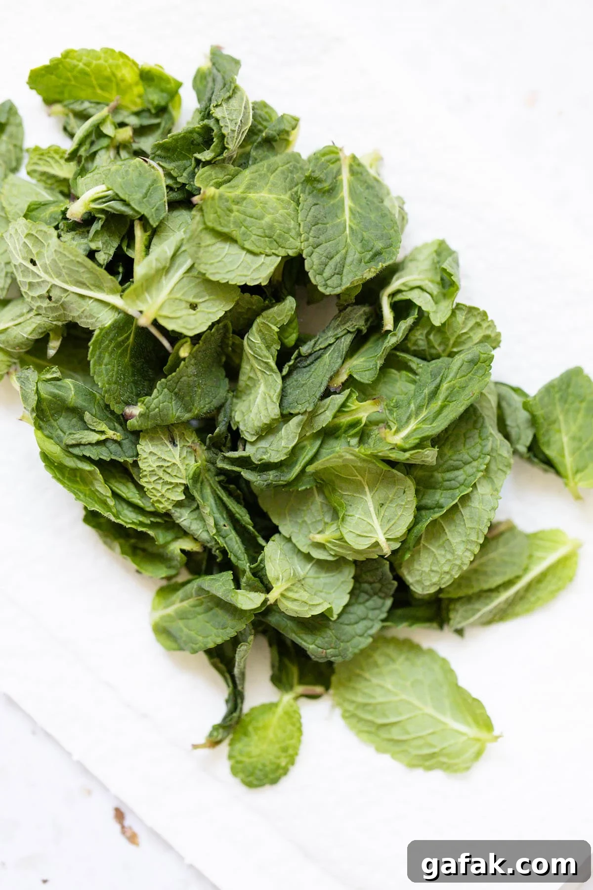 Mint leaves