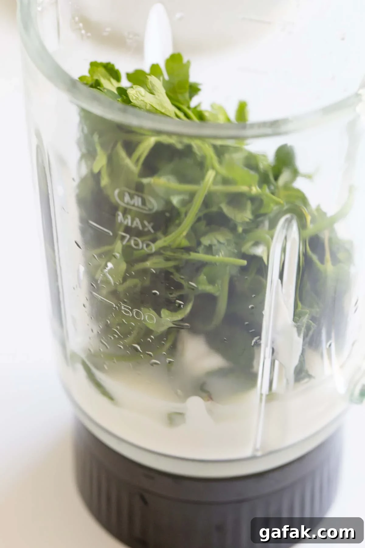 Ingredients in the blender