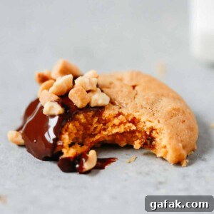 Close up of a cookie with a bite taken out of it.