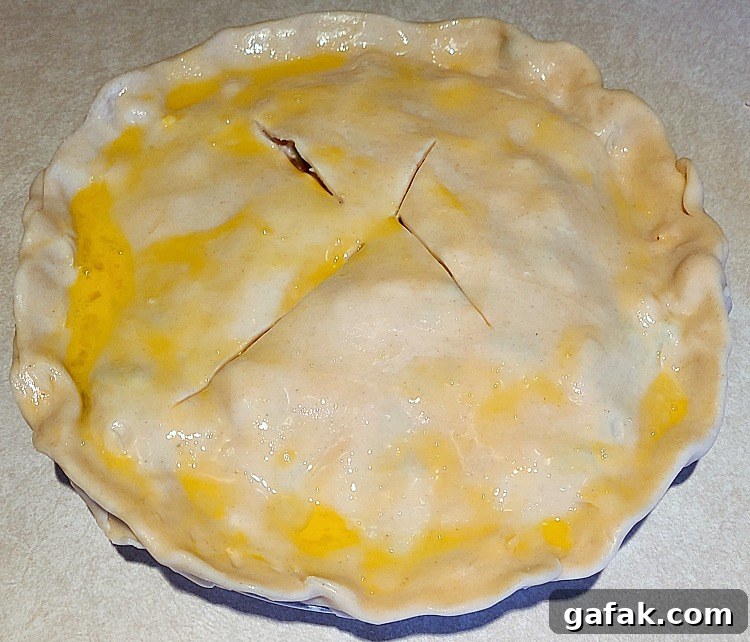 Turkey Pot Pie With Egg Wash on pie crust with slants