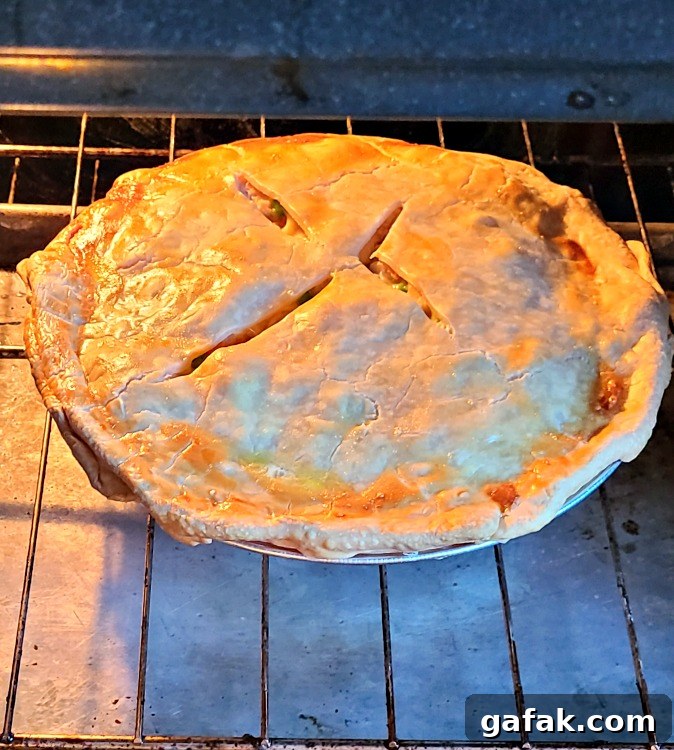 Smoked turkey pie on oven rack