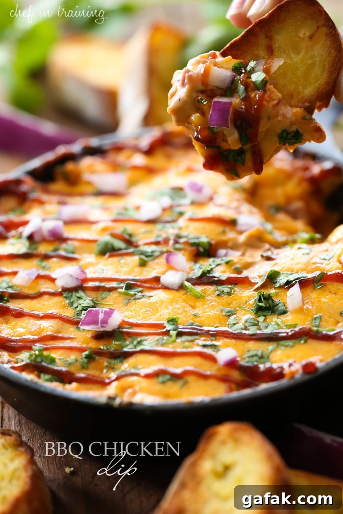 BBQ Chicken Dip from chef-in-training.com ...This dip is SO deliciously addictive! The flavors compliment each other wonderfully! This will be the hit of the party!