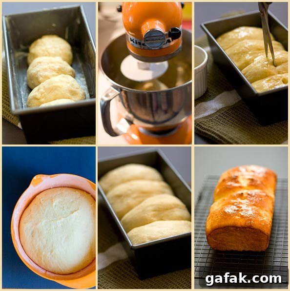 The Simplest Brioche Recipe — France’s Classic Easy Brioche 3 img 2642 2
