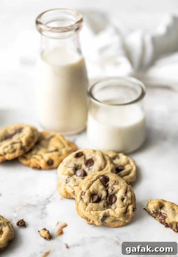 Close-up of cookie