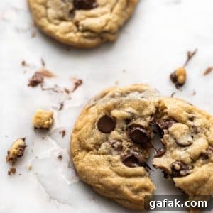 Cookie portrait