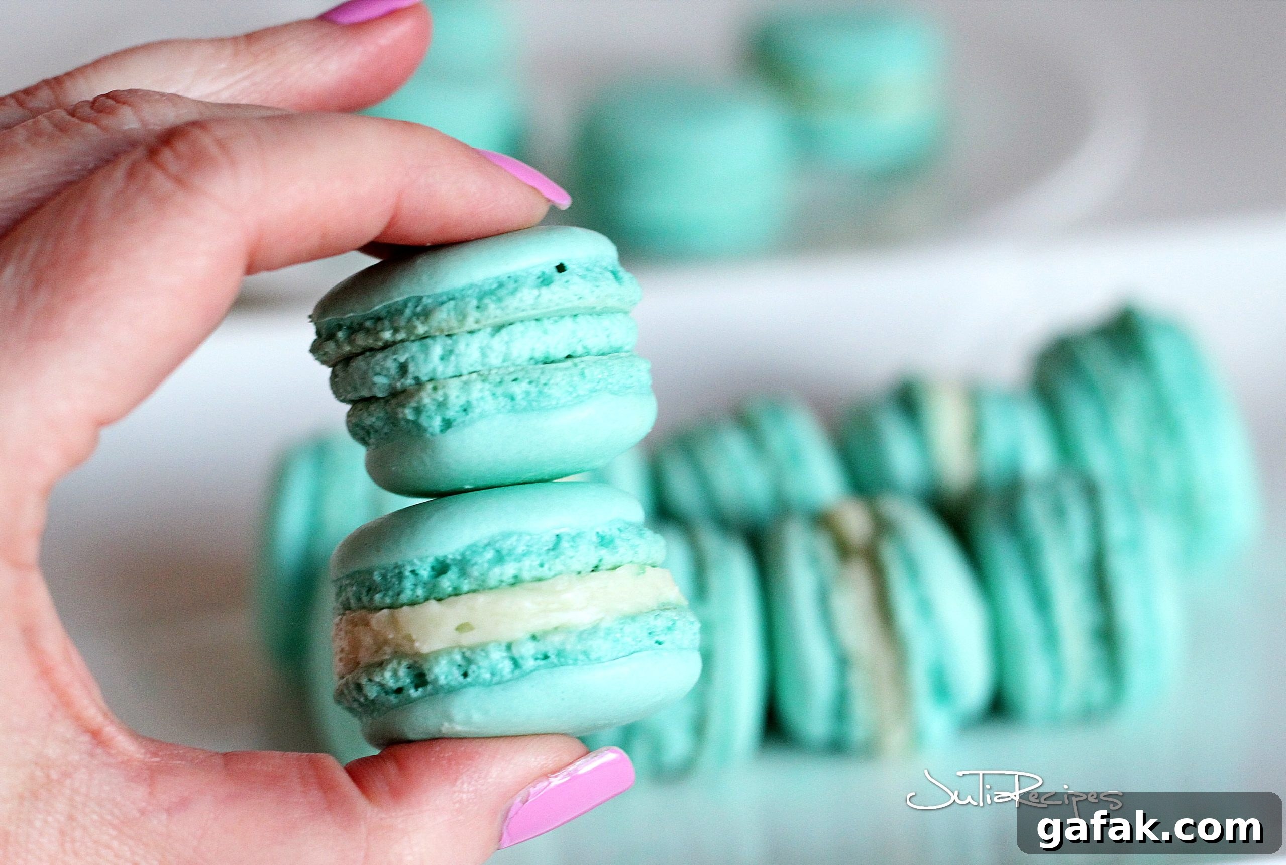 french macarons with praline cream