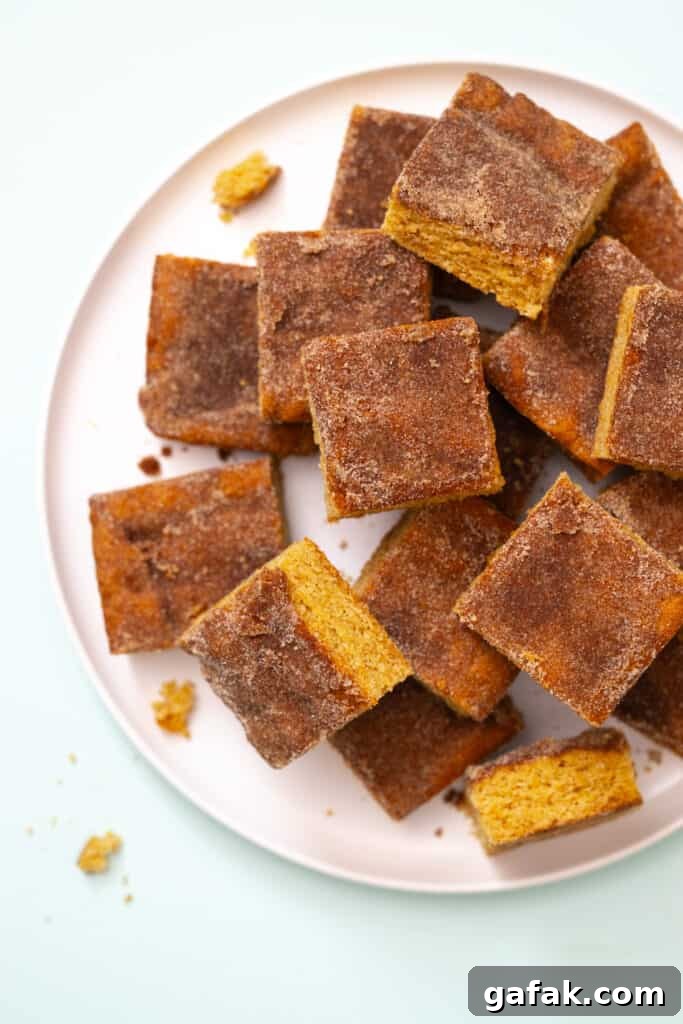 Plate of Snickerdoodle Blondies