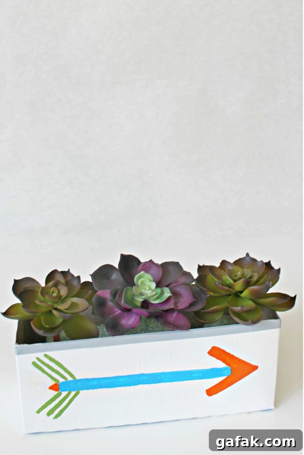 DIY succulent planter with recycled cereal box
