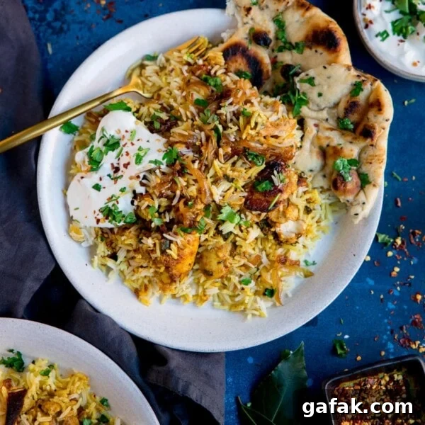 chicken biryani topped with natural yogurt on a white plate on a blue background.