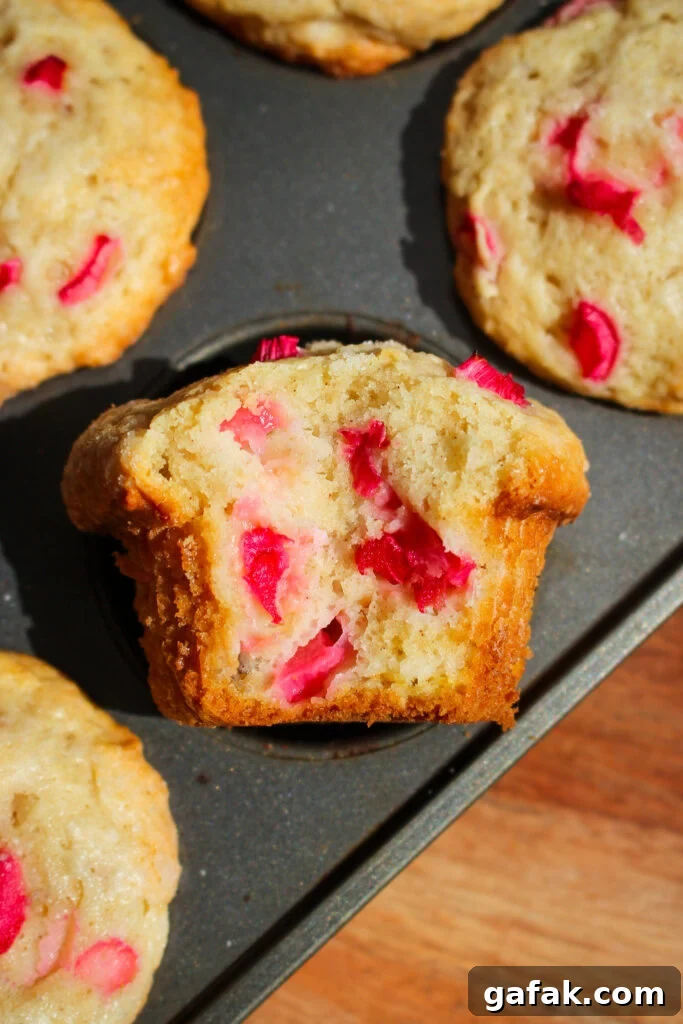 Rhubarb sour cream muffins