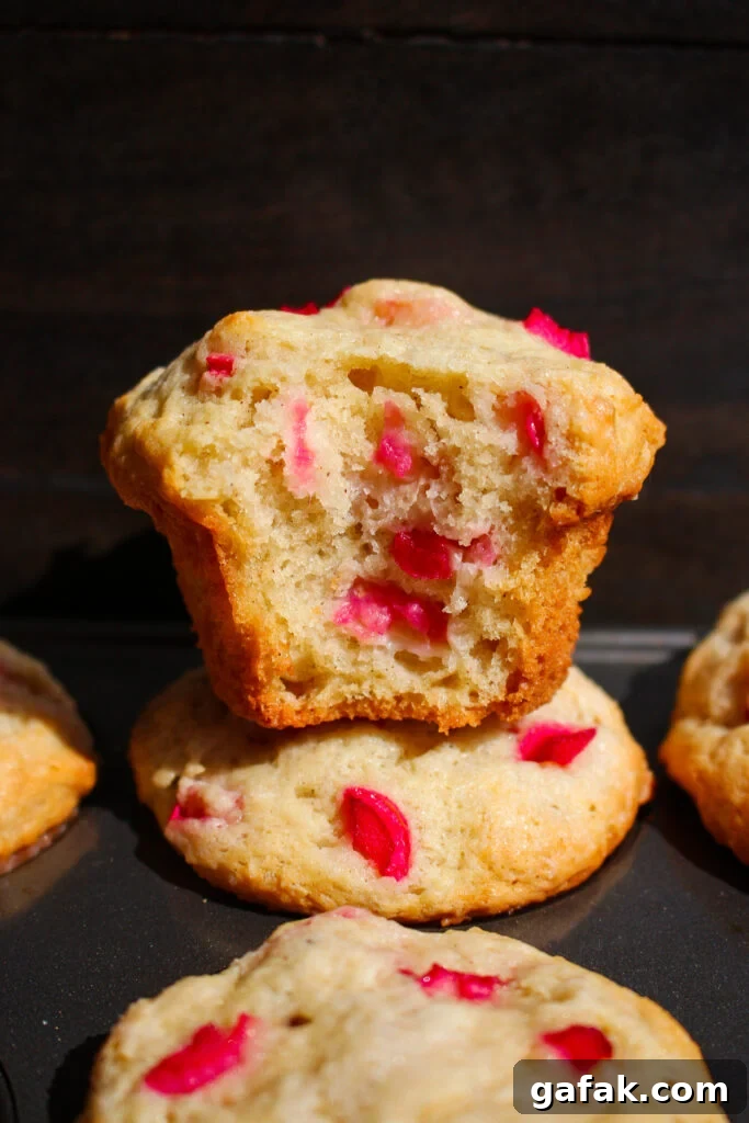 Freshly baked muffins