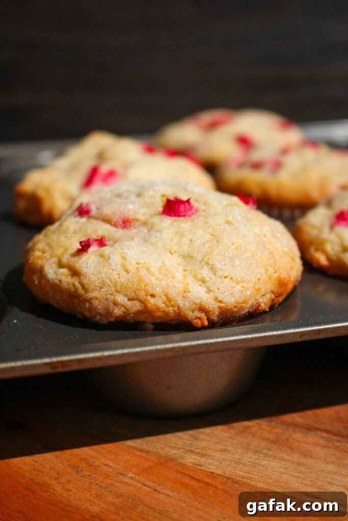 Muffin cross section