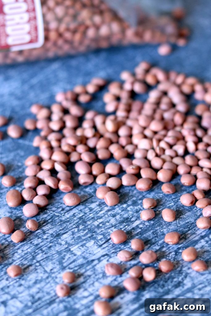 Raw Rancho Gordo Pinquito beans