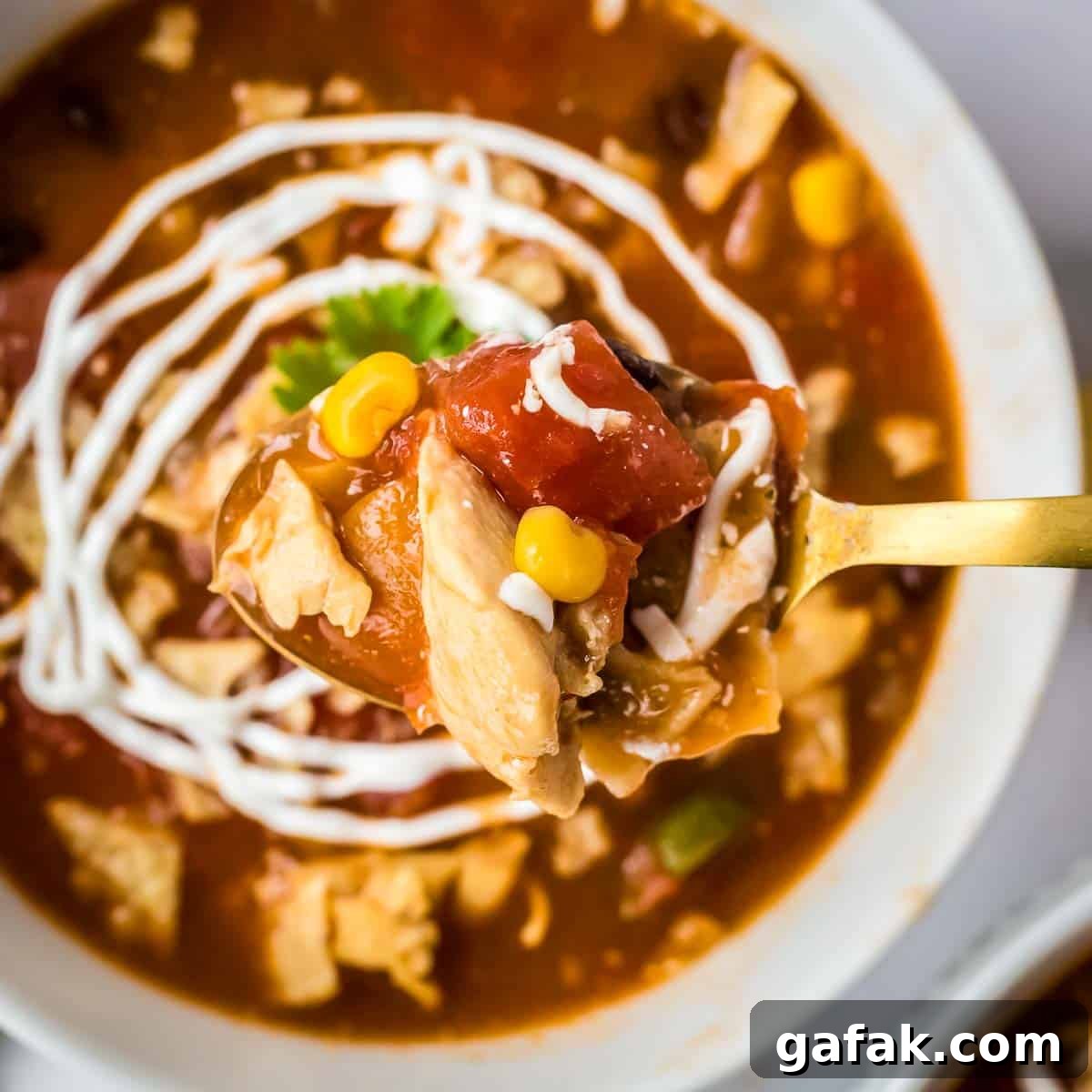 Overhead shot of a spoon holding a scoop of chicken tortilla soup over a white bowl with it.