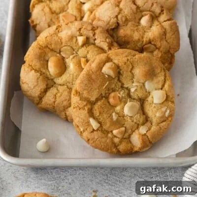 White chocolate macadamia nut cookies on a baking tray with parchment paper