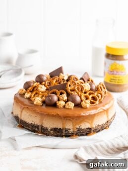 SunButter Cheesecake features a chocolate pretzel crust and is topped with a salted caramel sauce