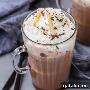 Ginger spiced hot chocolate in a mug with whipped cream and garnishes.