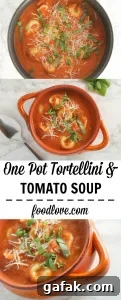 One Pot Tortellini and Tomato Soup - comforting and hearty, but still quick and easy; a perfect weeknight dinner for cold winter nights.