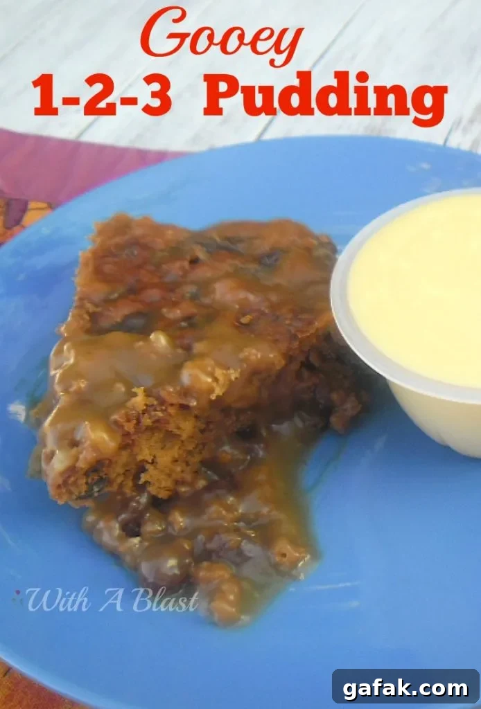 Gooey 1-2-3 Pudding