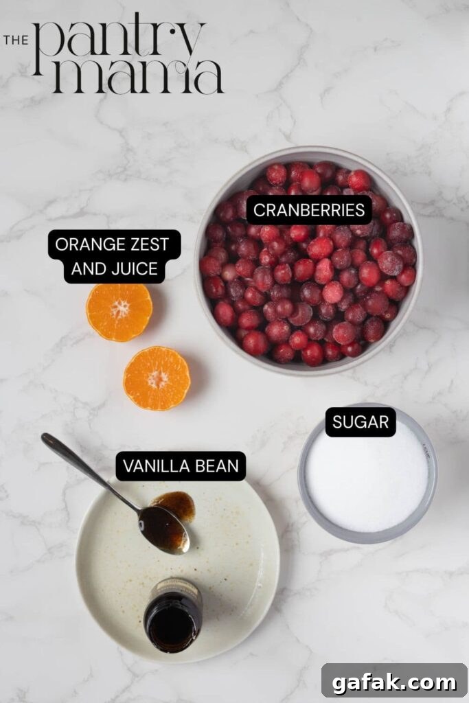 Flat lay of ingredients necessary to make Cranberry and Vanilla Jam.