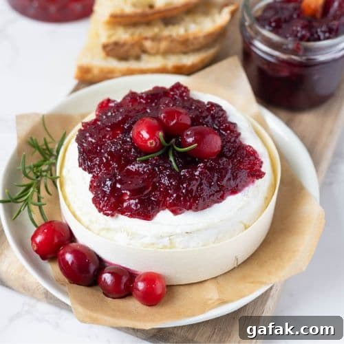 Bright red cranberry vanilla jam sitting on top of a wheel of Brie decorated with fresh cranberries and rosemary.