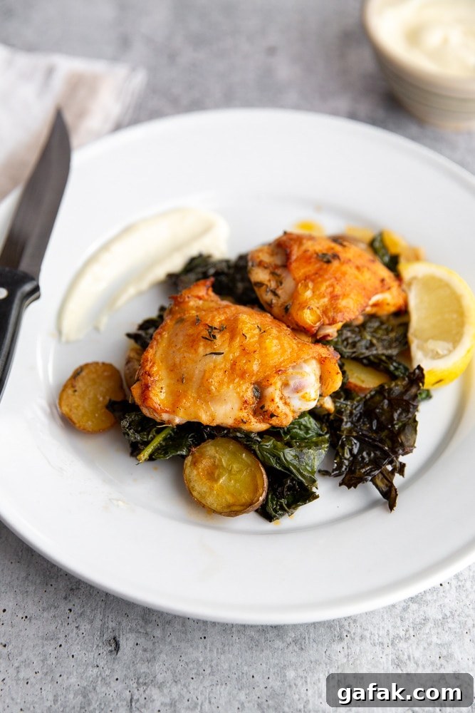 Roasted chicken thighs and vegetables on a plate with garlic aioli alongside.