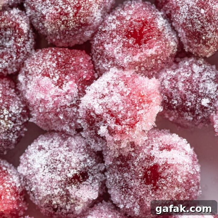 Sugar Free Candied Cranberries