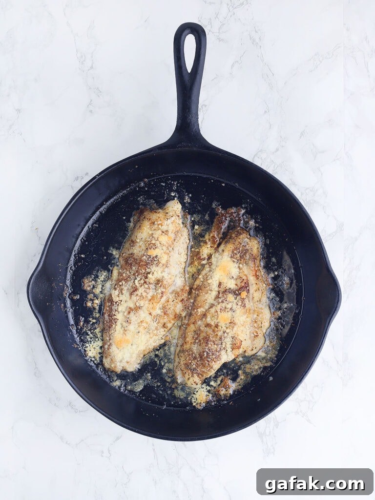 Pan seared catfish fillets after they have been under the broiler